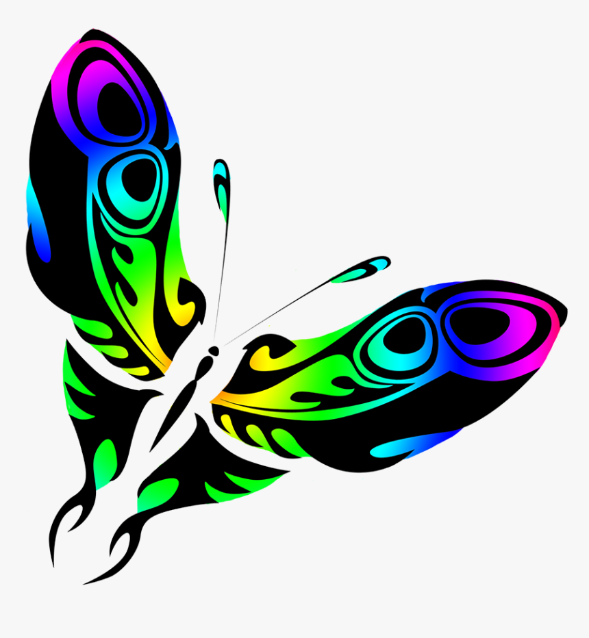 Rainbow Colored Butterfly Drawing - Graphic Design, HD Png Download, Free Download