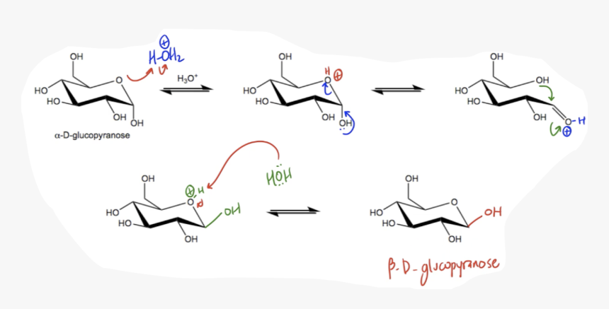 Mutarotation Acid Or Base Mechanism, HD Png Download, Free Download