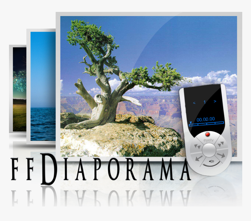 Transparent Mp3 Player Clipart - Nature Tree, HD Png Download, Free Download