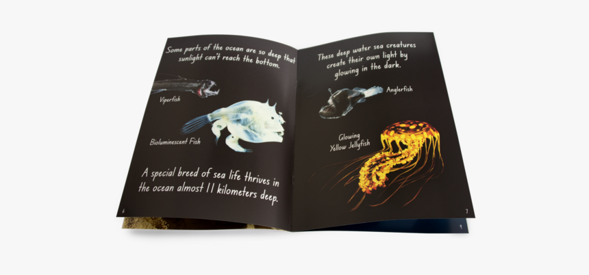 Books About Deep Sea Creatures, HD Png Download, Free Download