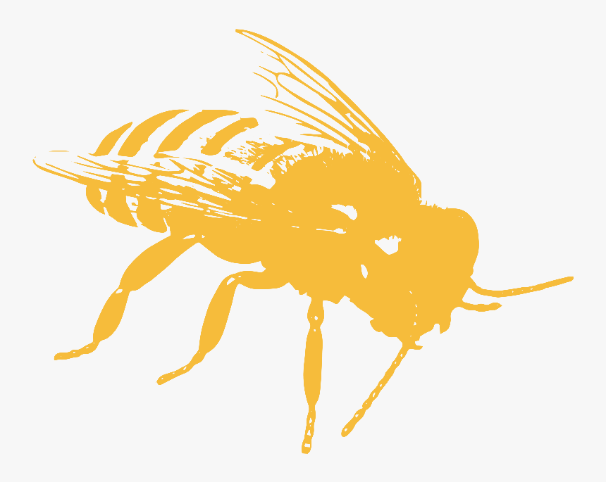 Pollinator Toolbox, Honeybee Icon - Honeybee Icon, HD Png Download, Free Download