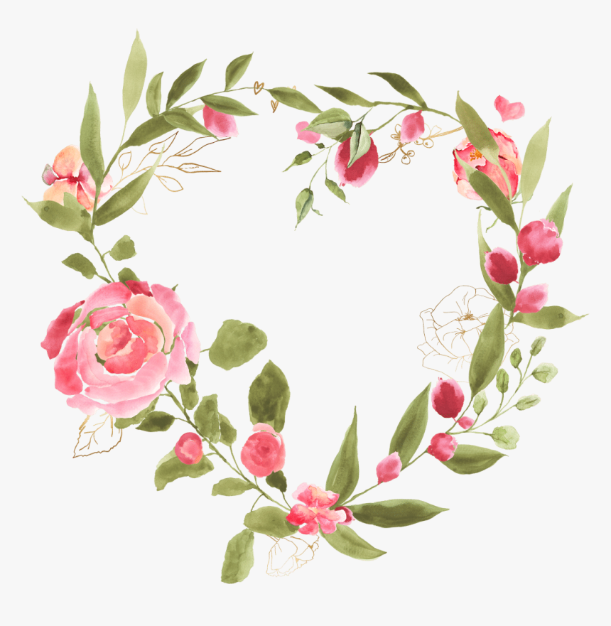 About - Garden Roses, HD Png Download, Free Download