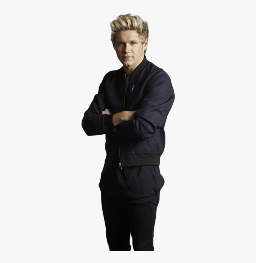 Thumb Image - One Direction Niall Horan Transparent, HD Png Download, Free Download