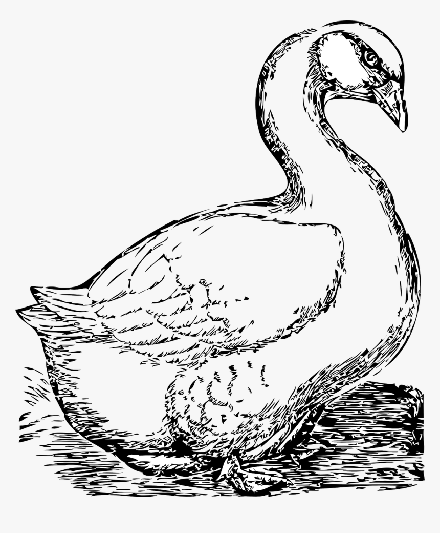 Goose Clip Art, HD Png Download, Free Download