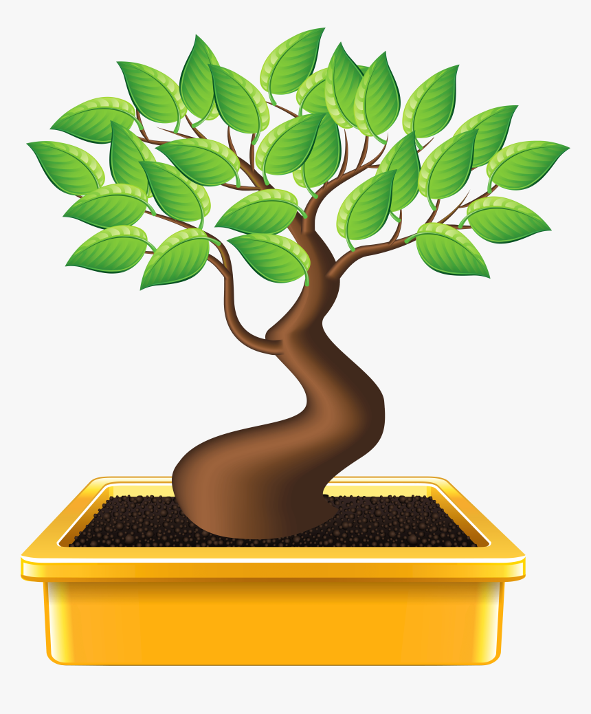 Transparent Bonsai Tree Clipart - Bonsai Emoji, HD Png Download, Free Download