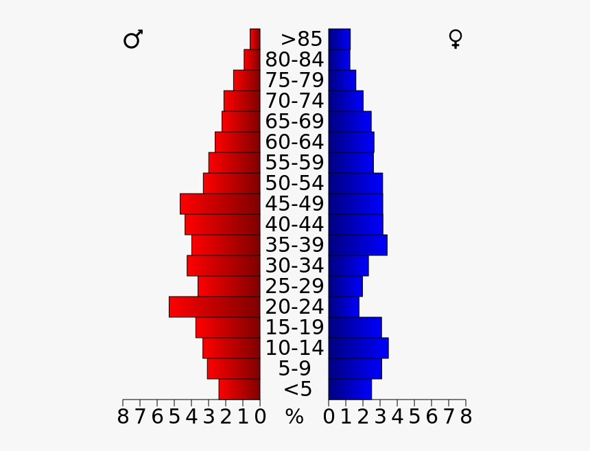 Usa Live Oak County, Texas Age Pyramid - Buffalo County Sd Population Pyramid, HD Png Download, Free Download