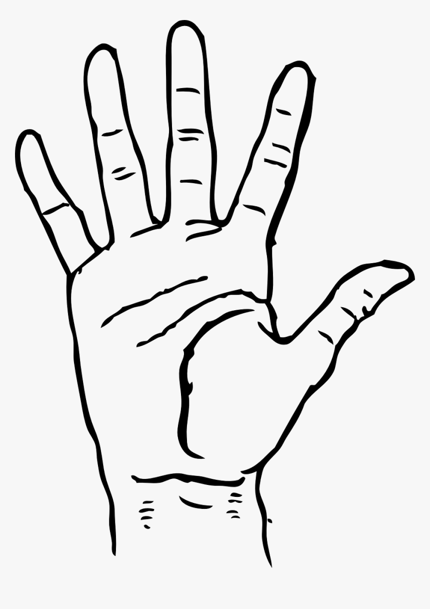 Drawing Of Hand For Kids, HD Png Download, Free Download