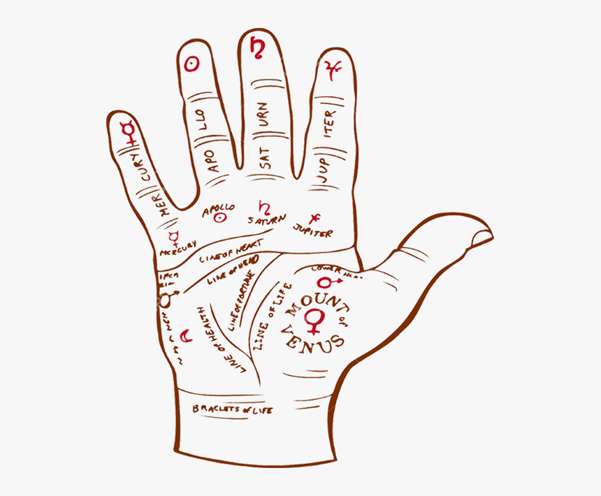 Palm Reading Illustration, HD Png Download, Free Download