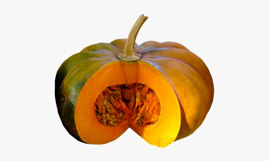 Parts Of A Pumpkin Real, HD Png Download, Free Download