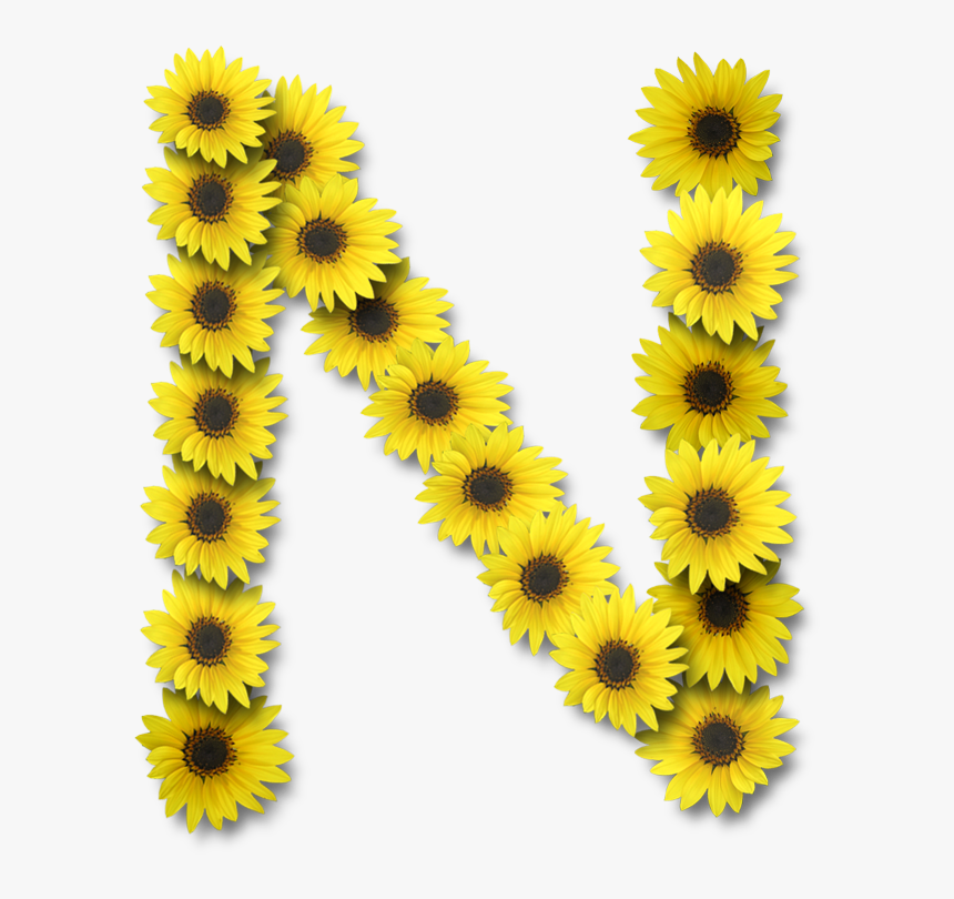 Letter N Sunflower Design, HD Png Download, Free Download