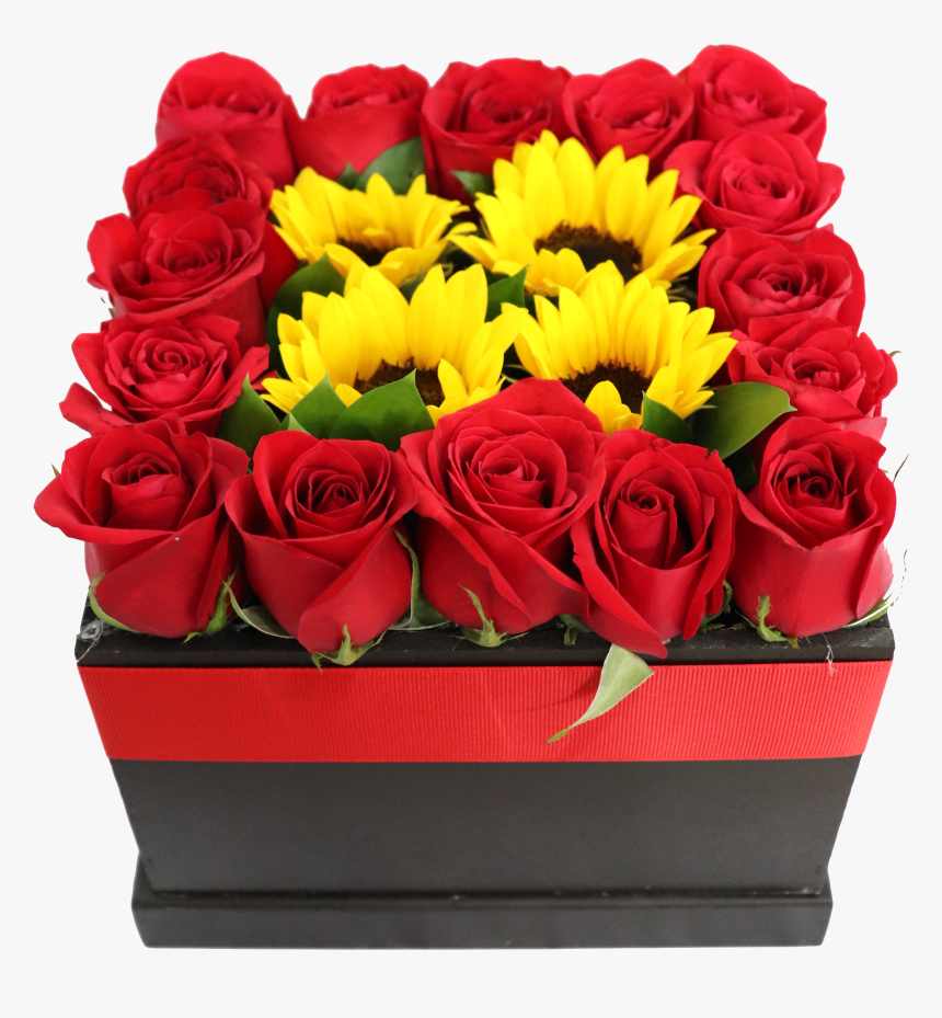 Garden Roses, HD Png Download, Free Download