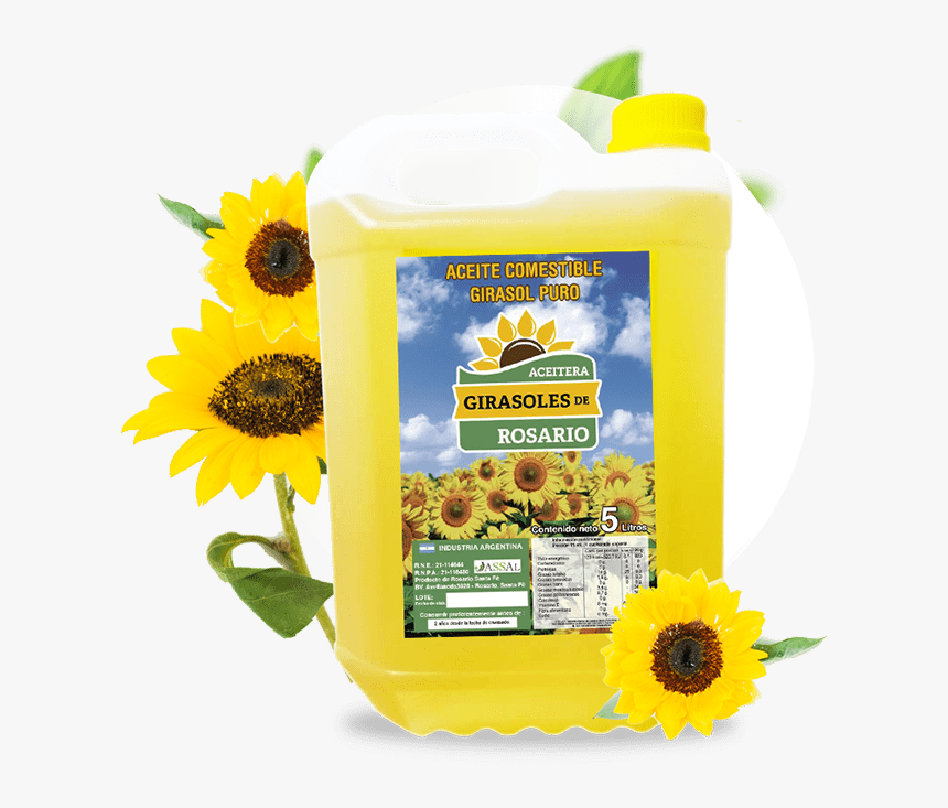 Home Girasoles Rosario - Sunflower, HD Png Download, Free Download