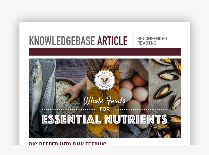 Photo Caption, HD Png Download, Free Download