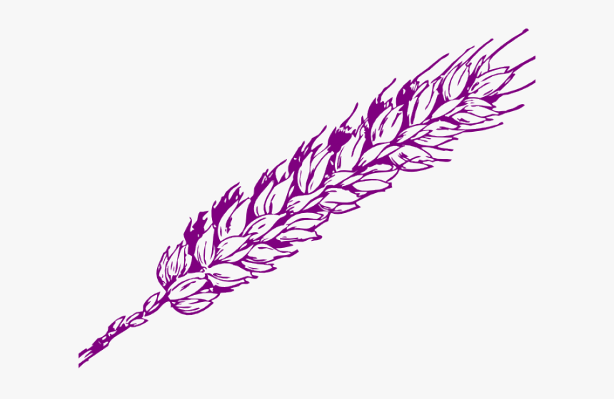Drawn Wheat Vector - Red Wheat Clip Art, HD Png Download, Free Download