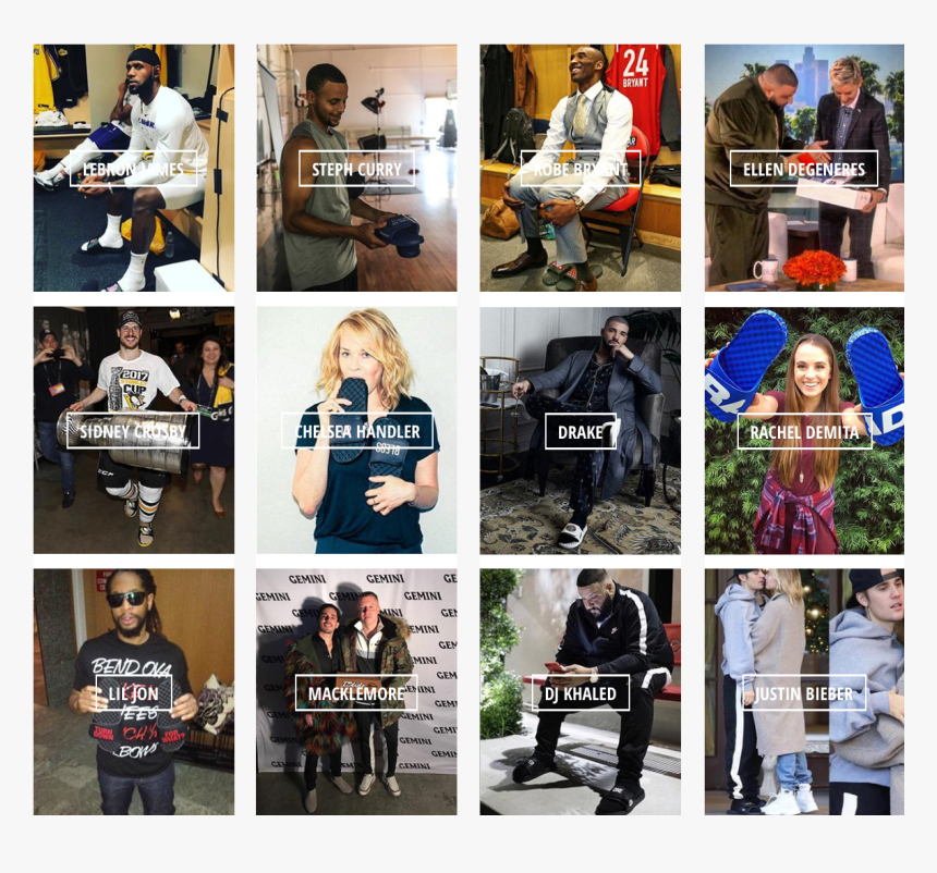 Collage, HD Png Download, Free Download