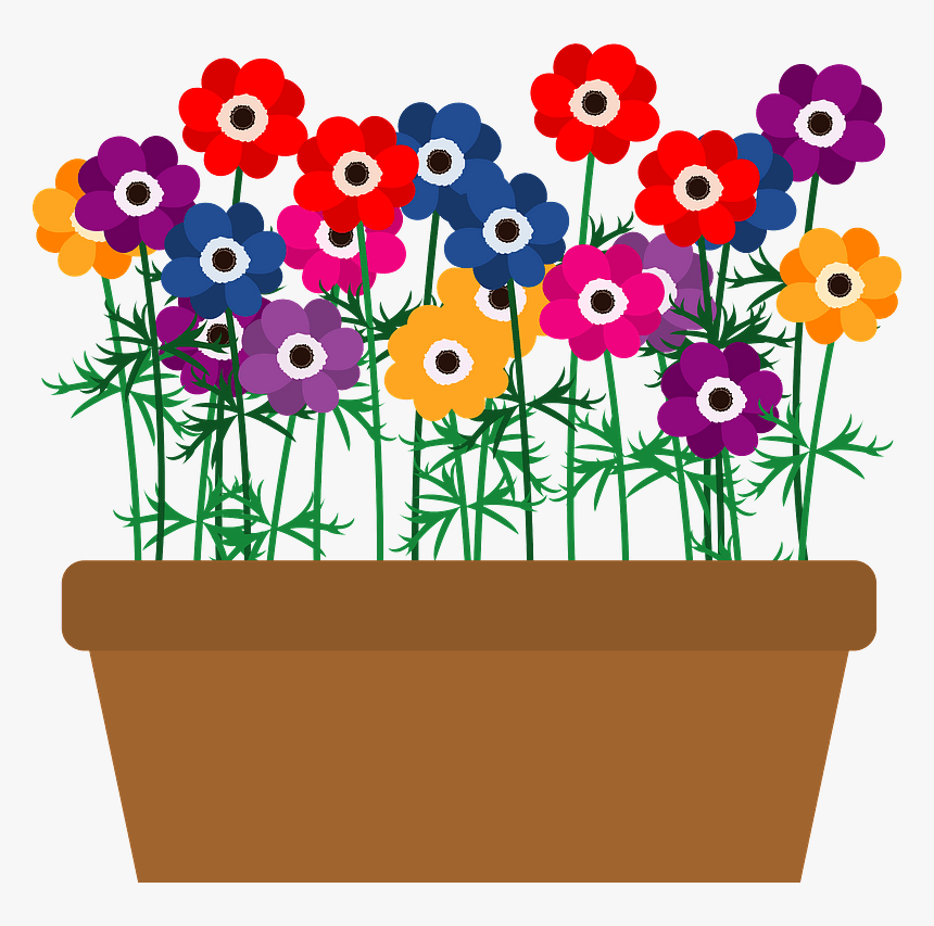 Poppy Anemone Flower Clipart - Flower Plants Clipart, HD Png Download, Free Download