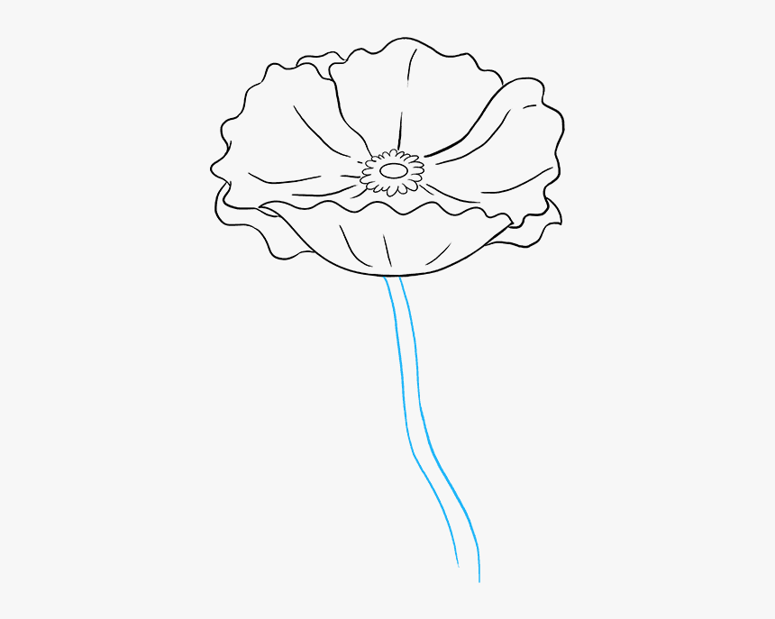 How To Draw A Poppy - Sketch, HD Png Download, Free Download