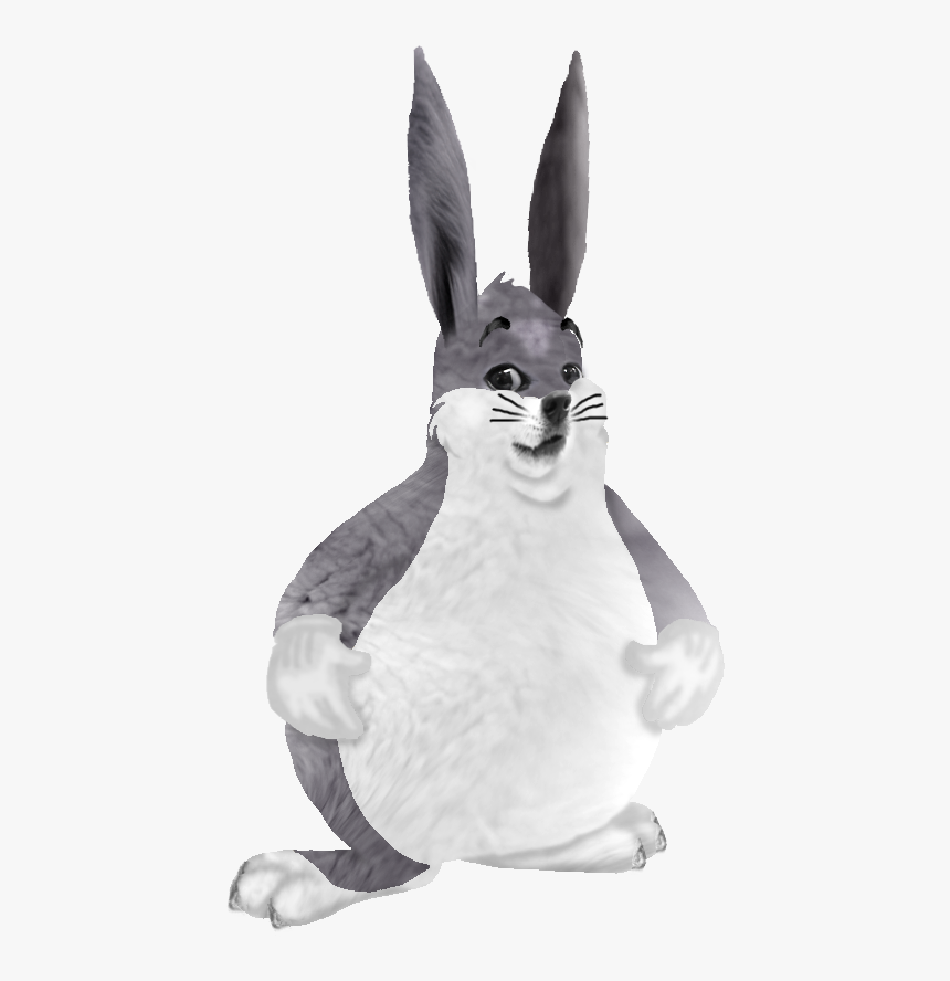 Domestic Rabbit Rabbit White Hare Rabbits And Hares - Easy To Draw Dank Memes, HD Png Download, Free Download