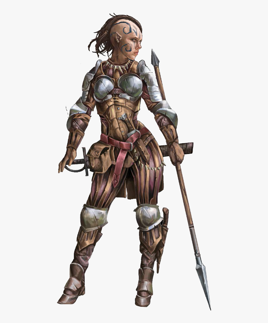 Transparent Fantasy Warrior Png - High Elf Wood Elf Dark Elf, Png Download, Free Download