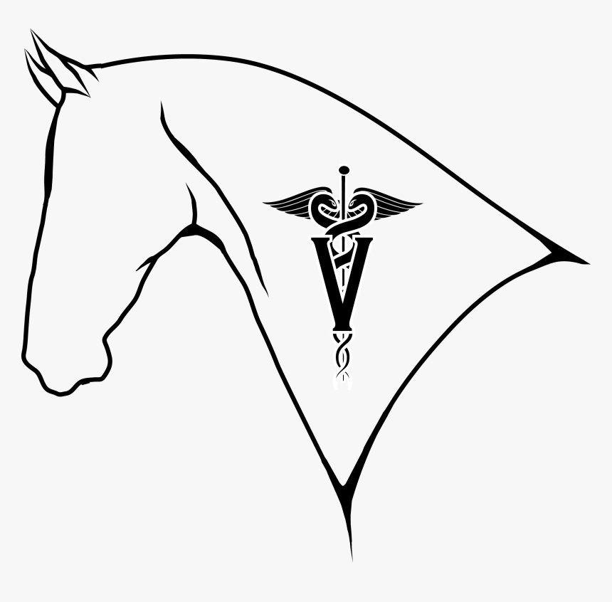 Welcome To Blue Mist Equine Veterinary Centre Clipart - Clip Art, HD Png Download, Free Download