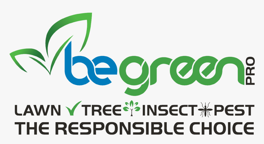 Be Green Pro Logo - Graphic Design, HD Png Download, Free Download