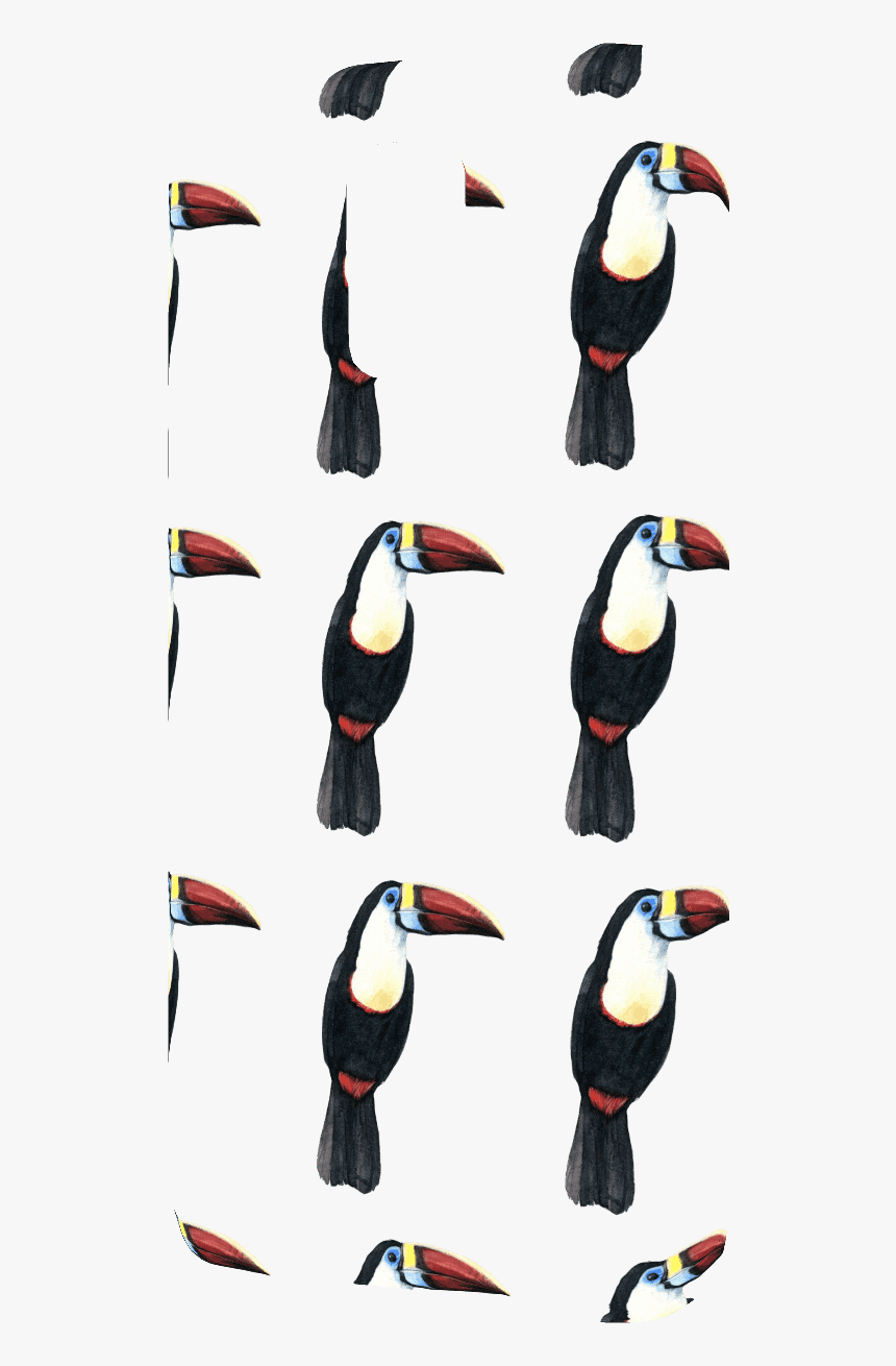 Time To See The Tucan Samsung Galaxy S5 Slim Phone - Snares Penguin, HD Png Download, Free Download