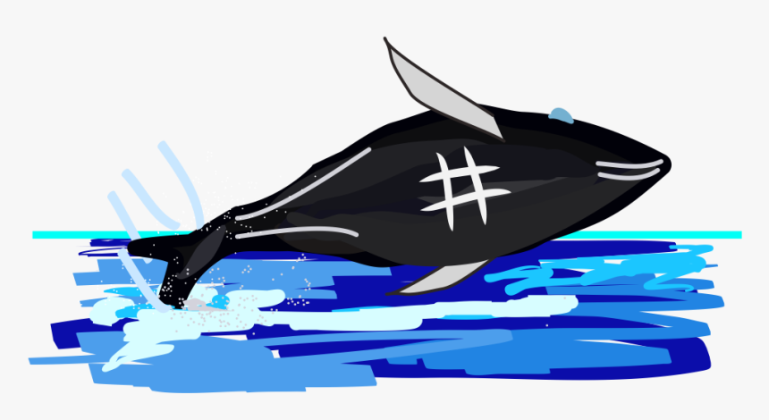 Hashtag The Humpback Whale - Whale, HD Png Download, Free Download
