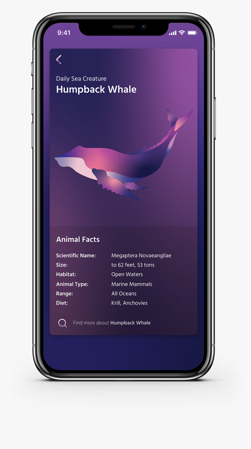 Iphone, HD Png Download, Free Download