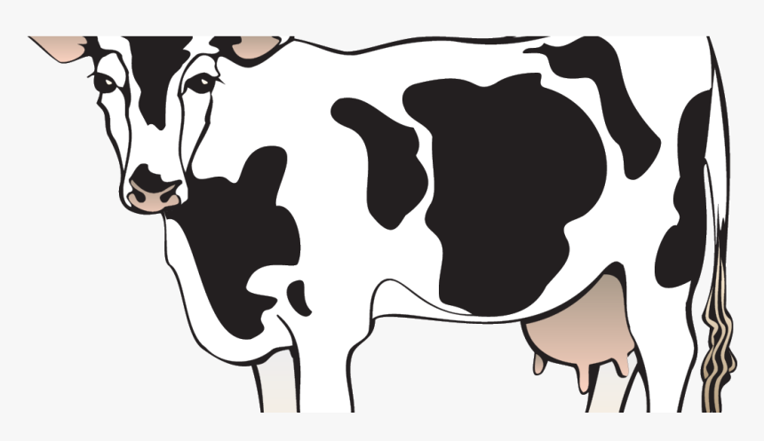 Dairy Cow Clipart Black And White, HD Png Download, Free Download