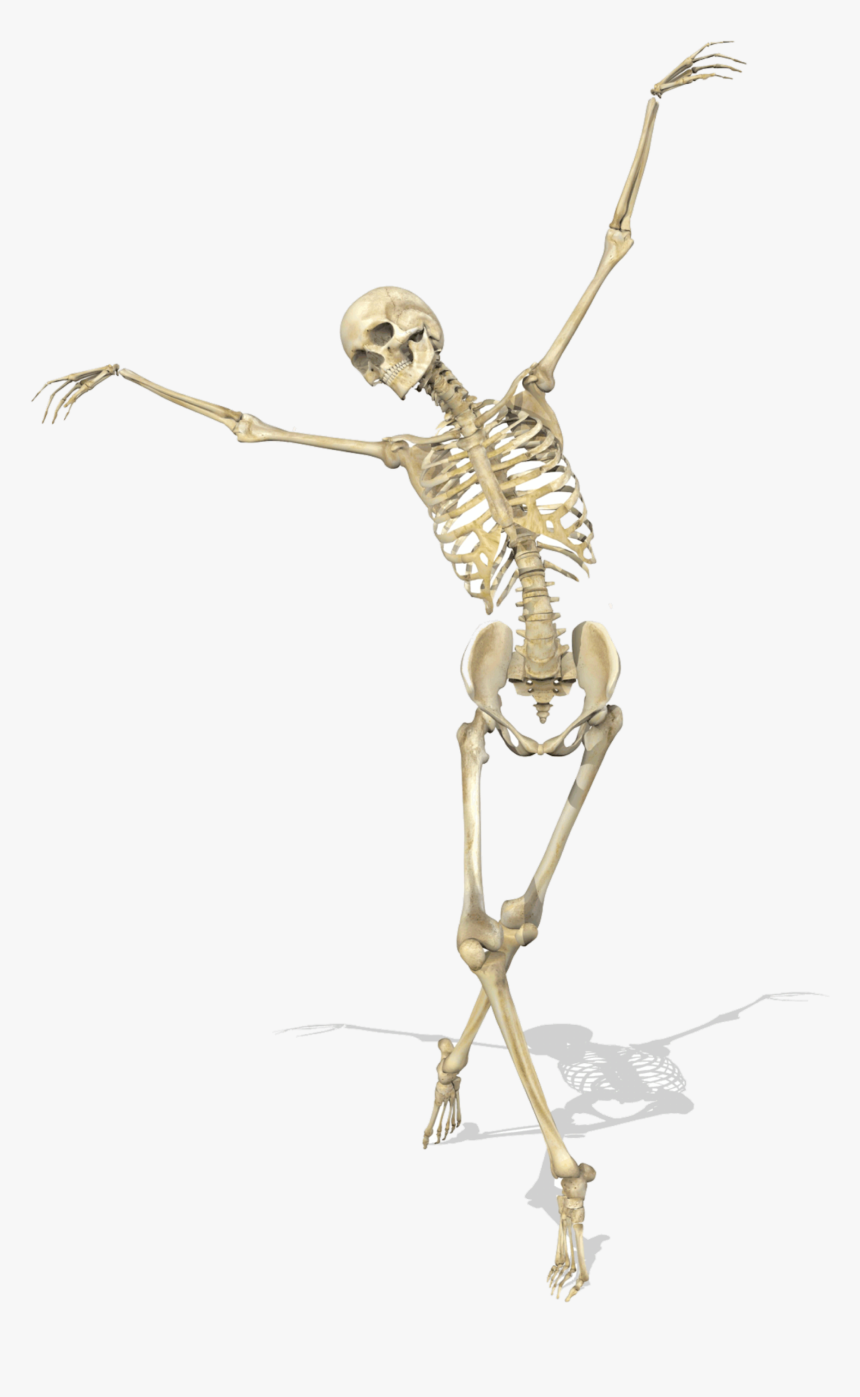 #dancing #skeleton #freetoedit - Skeleton Ballet Poses, HD Png Download, Free Download