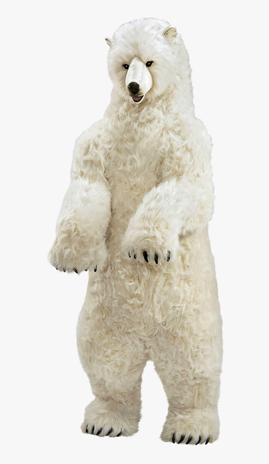 Polar Bear, HD Png Download, Free Download