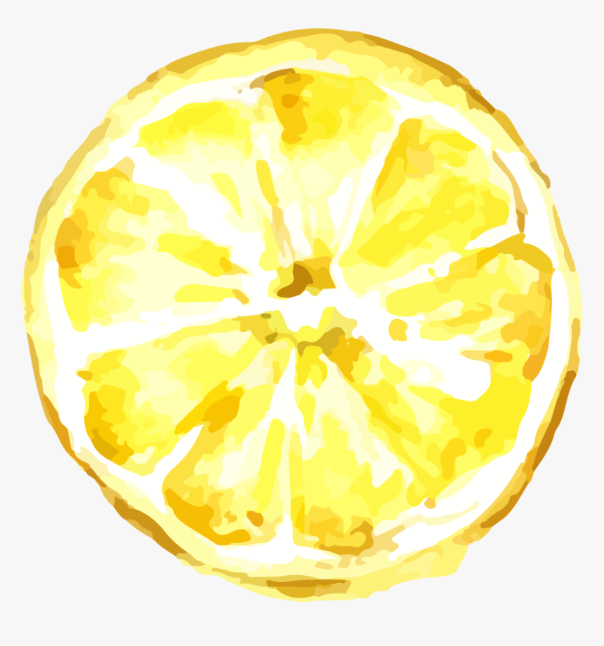 Lemon Transparent Png Image & Lemon Clipart - Lemon Drawing Transparent Background, Png Download, Free Download