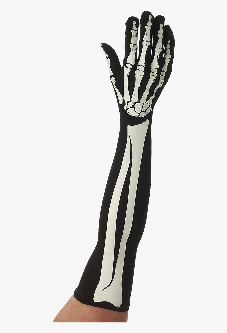 Halloween Long Skeleton Gloves, HD Png Download, Free Download