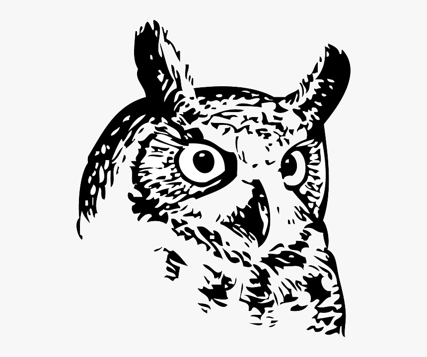 Owl, Bird, Eyes, Black, Tribal, Drawing, Silhouette - Great Horned Owl Black And White Drawing, HD Png Download, Free Download