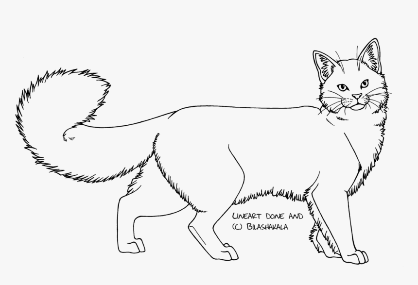 Domestic Long Haired Cat Png - Long Haired Cat Drawing, Transparent Png, Free Download