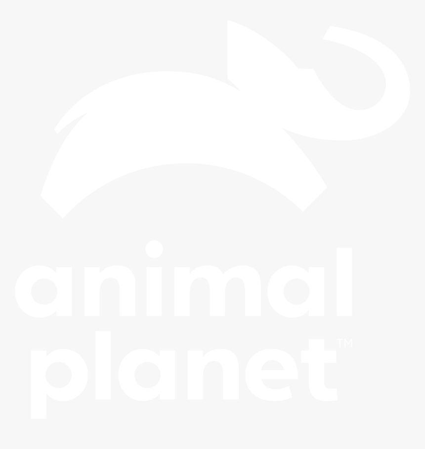 The Incredible Bearded Dragons - Animal Planet Logo White, HD Png Download, Free Download