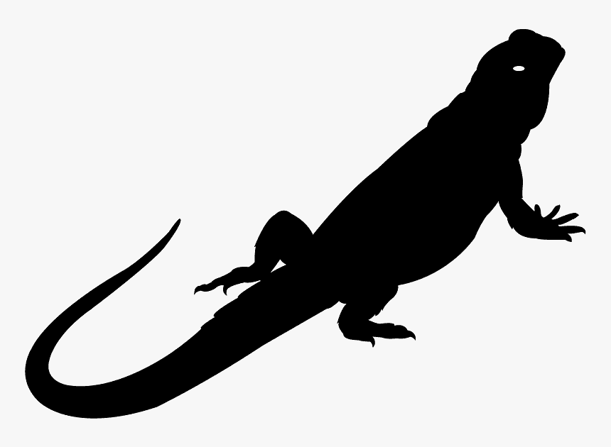 Bearded Dragon Lizard Silhouette, HD Png Download, Free Download