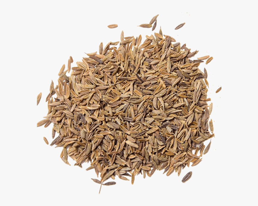 Cumin Seeds - Cumin Seeds Png, Transparent Png, Free Download