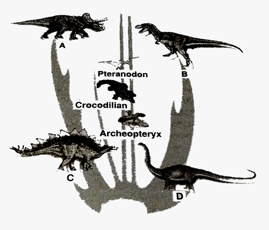 Significance Of Family Tree Of Dinosaurs In Ncert, HD Png Download, Free Download