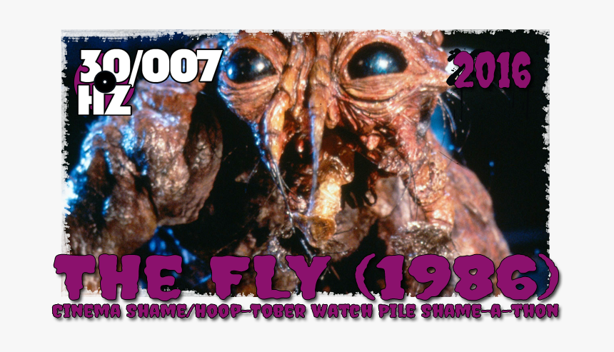 The Fly - Fly Horror Movie, HD Png Download, Free Download
