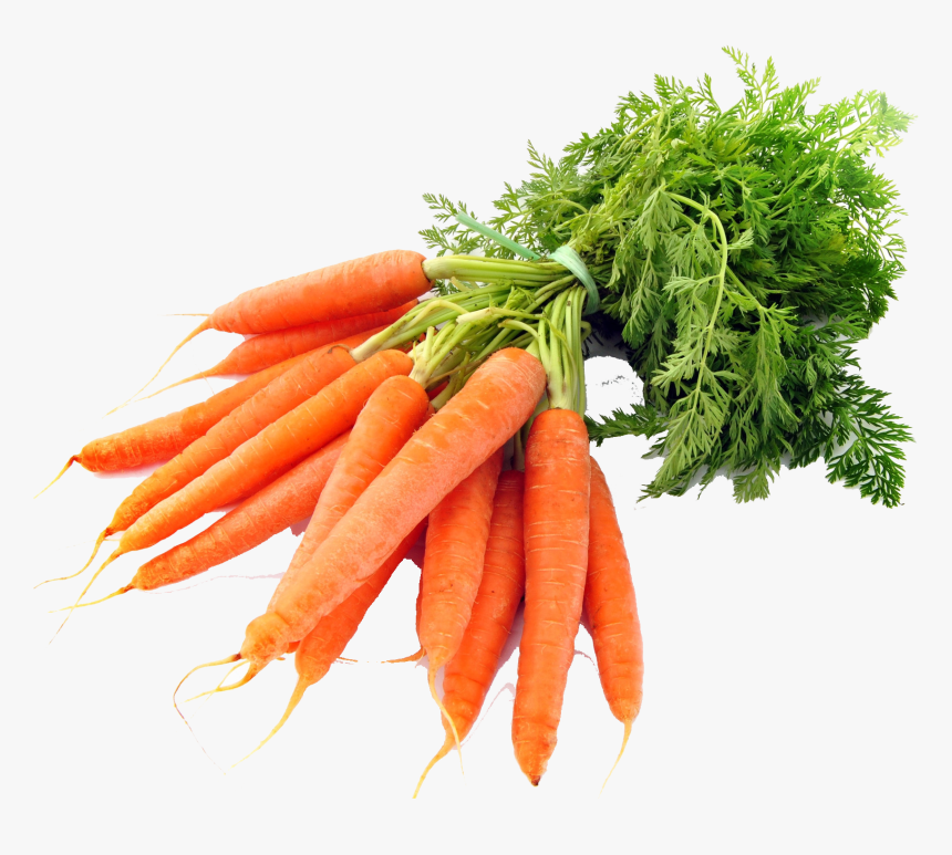 Carrot Png Photo Background - Carrots Png, Transparent Png, Free Download