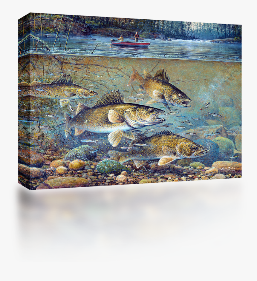 Big Walleye Painting , Png Download - Walleye Art, Transparent Png, Free Download