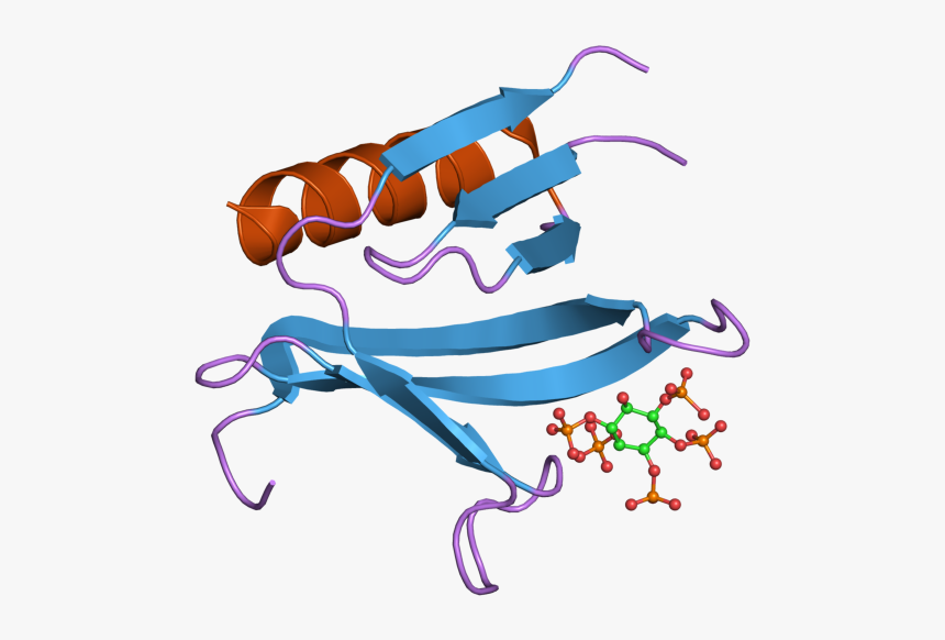 Pdb 2i5f Ebi - Illustration, HD Png Download, Free Download