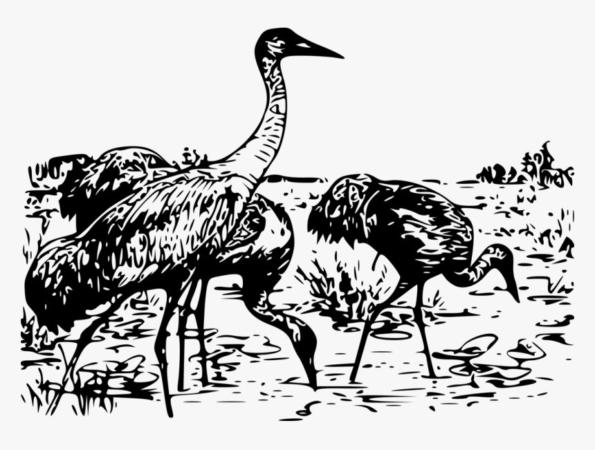 Whooping Crane Bird Sandhill Crane Computer Icons - Whooping Crane, HD Png Download, Free Download