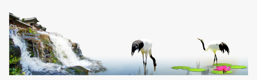 Transparent Water Dam Clipart - Red-crowned Crane, HD Png Download, Free Download