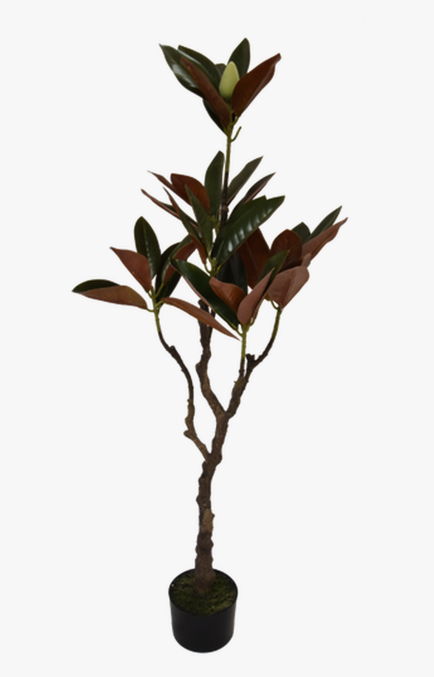 Magnolia Tree - Artificial Plant - Twig, HD Png Download, Free Download