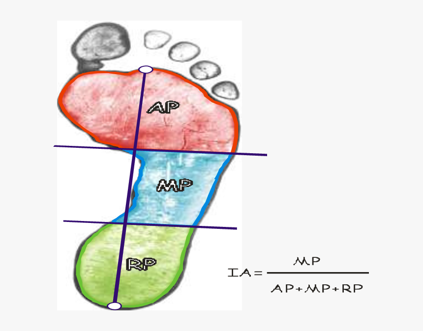 Indice De Arco Plantar, HD Png Download, Free Download