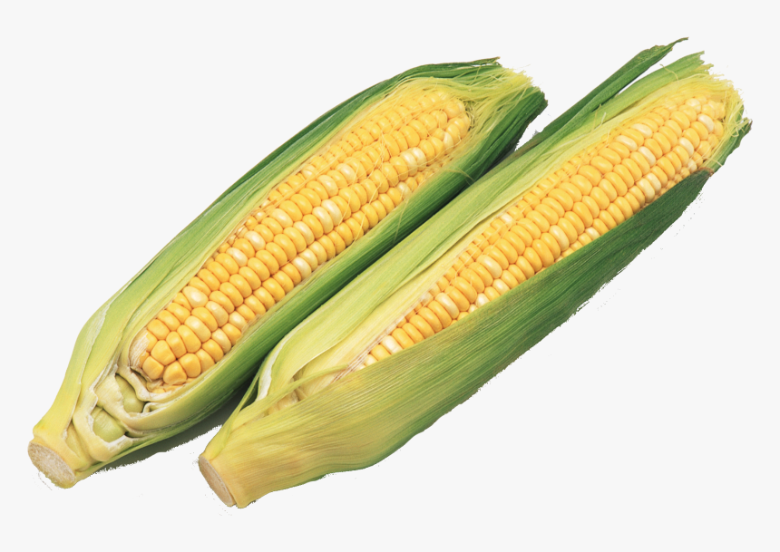 Corn Cob Png - 玉蜀黍, Transparent Png, Free Download