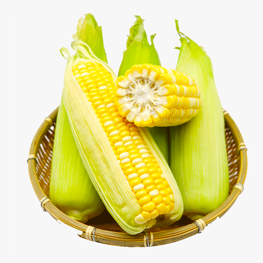 Sweet Corn, HD Png Download, Free Download