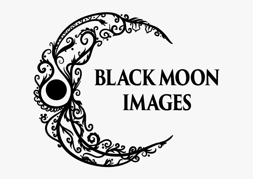 Black Moon Images Logo Illustration Vector Filigree, HD Png Download, Free Download